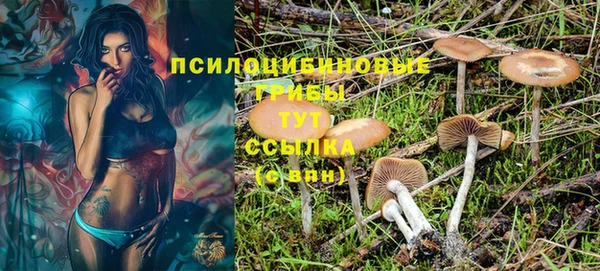 бутират Верея
