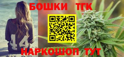 твердый Гатчина