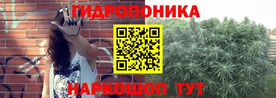 твердый Гатчина