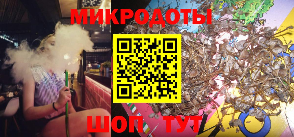 что такое   Вход с VPN  Медногорск  Галлюциногенные грибы мухоморы 