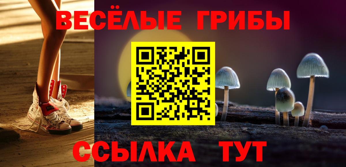 Галлюциногенные грибы Psilocybe Медногорск